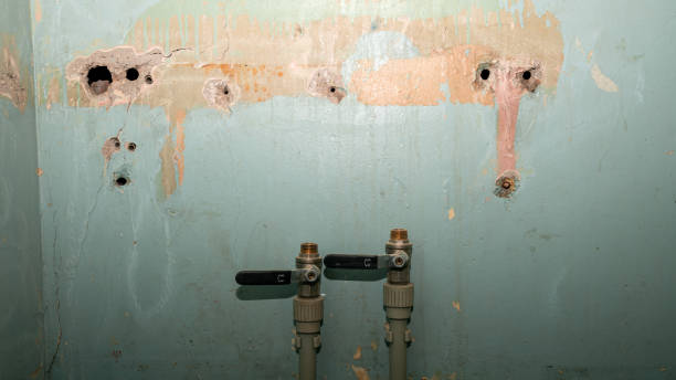Local water damage restoration in NJ