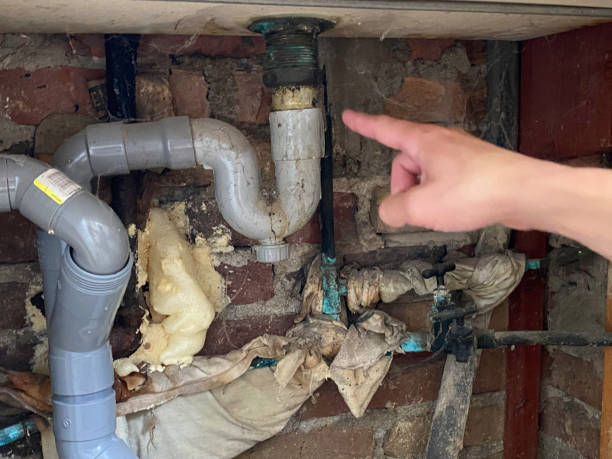 Best Flooded house restoration  in Harrington Park, NJ
